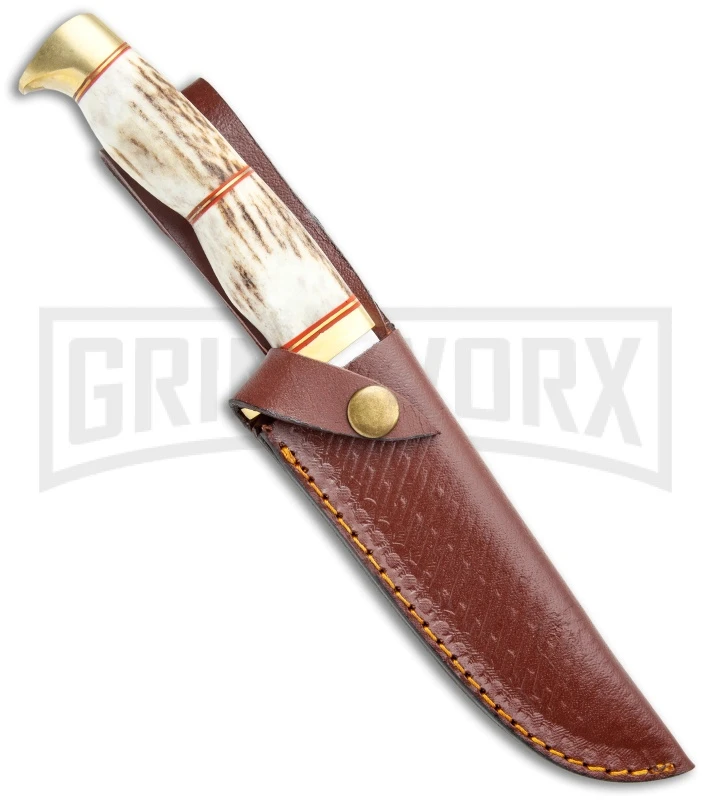 Tallen Steel Wolf Stag Antler Fixed Blade Knife - Satin Plain - Image 3